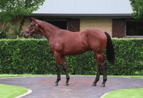 Latest Weekly Listings – Blue Point, Xtravagant and Tiger Of Malay